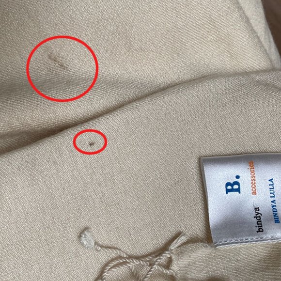 B. Bindya Accessories  Luxurious off White Pashmina 70% Wool, 30% Silk - Picture 5 of 5